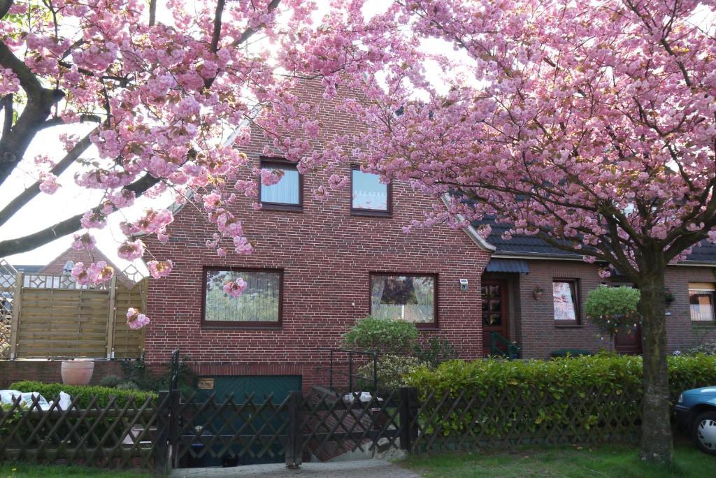 Ferienwohnungen Stoldt 북스테후데 외부 사진